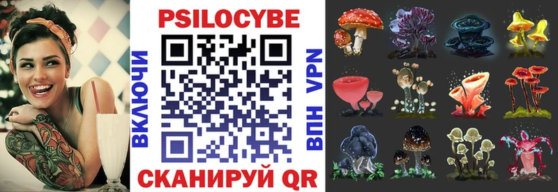 Купить закладки  Алейск  Галлюциногенные грибы мицелий 